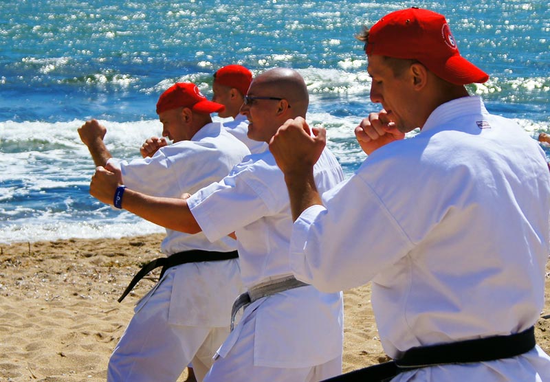 taekwondo judo boxing karate alanya mahmutlar