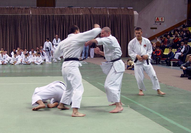 turkiye alanya karate sport club