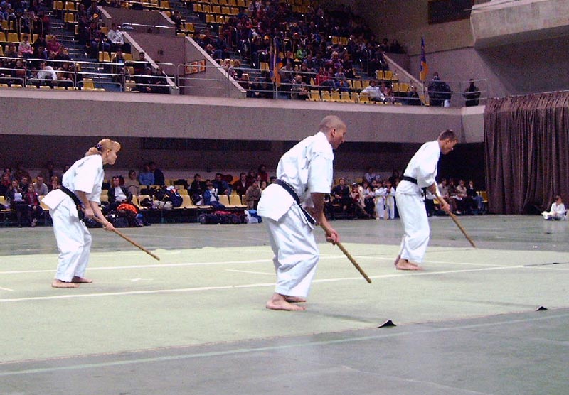 kyokushin karate shotokan judo turkey